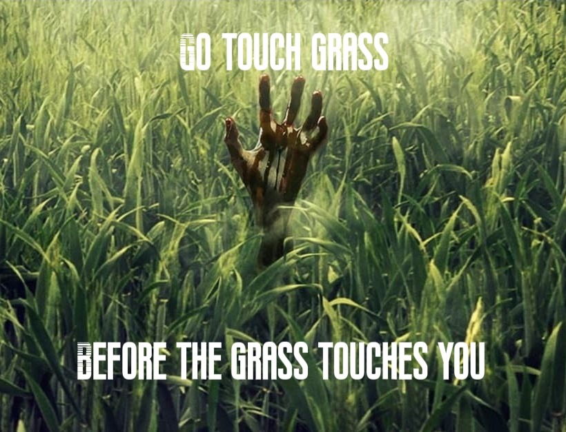 Go touch grass - meme