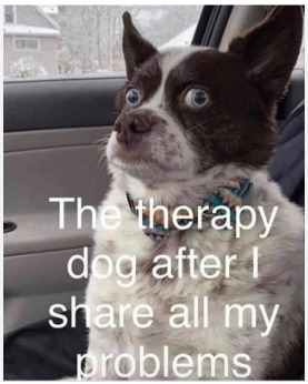 therapy dog - meme