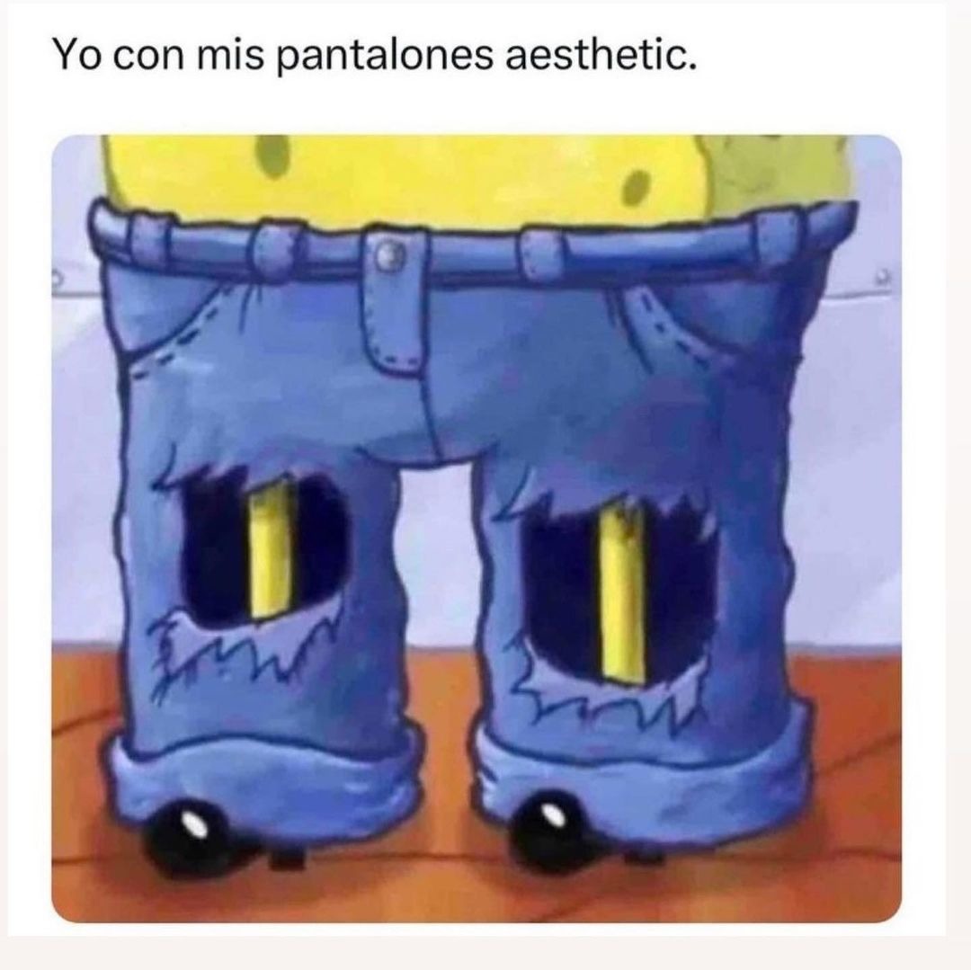 Pantalones aesthetic - meme