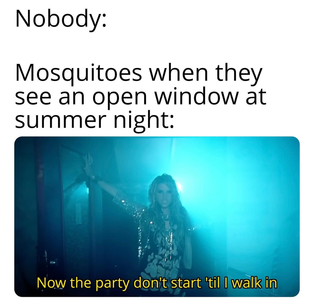 Mosquito meme