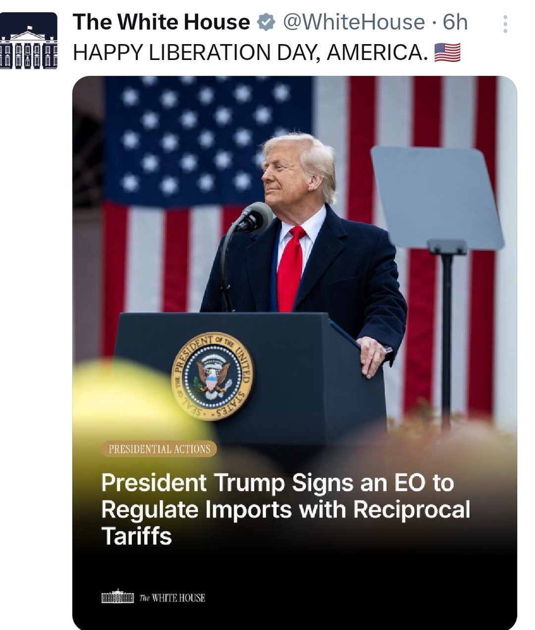 Happy Liberation Day! Time to tariff random penguins - meme