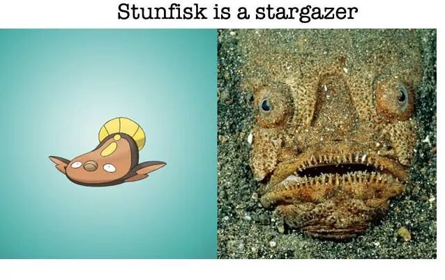 Stunkfisk - meme