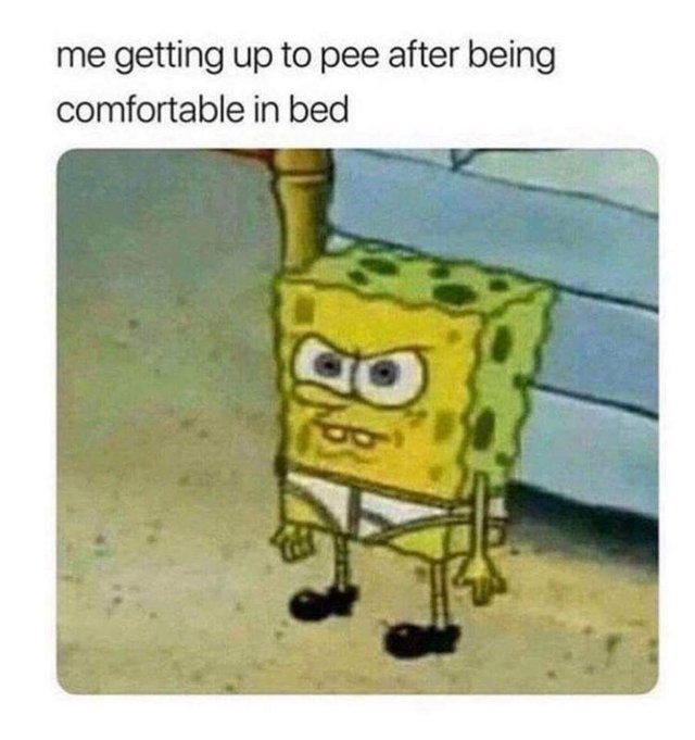 Me getting up to pee after being comfortable in bed - meme