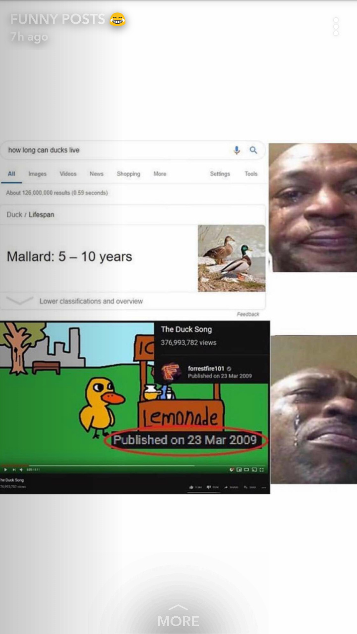 rip duck will be missed - meme