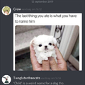 Discord people are a diffrent kind