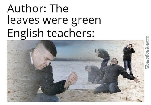 Literature be getting in your best teachers - meme