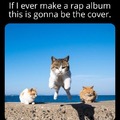 Cat rap album