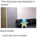 squirtle