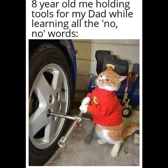 Thank you dad for all your teachings - meme