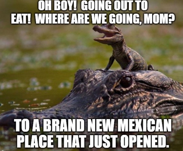 Alligator Alcatraz - meme