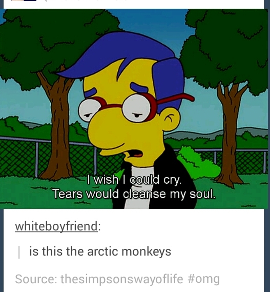 how do you feel about the arctic monkeys? - meme