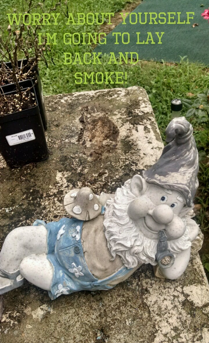 Smoking GNOME - meme