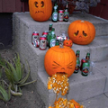 Drunk pumpkins