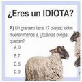 eres un idiota?