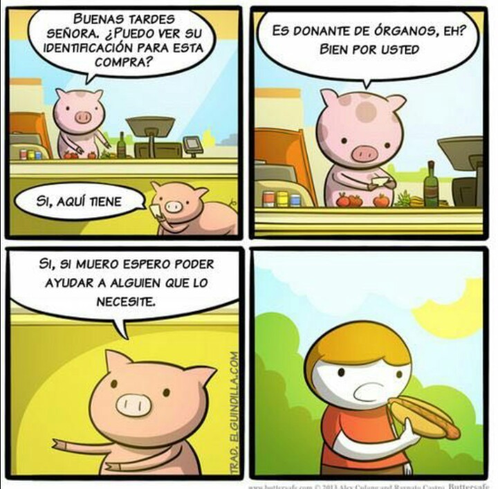 Cerdo - meme