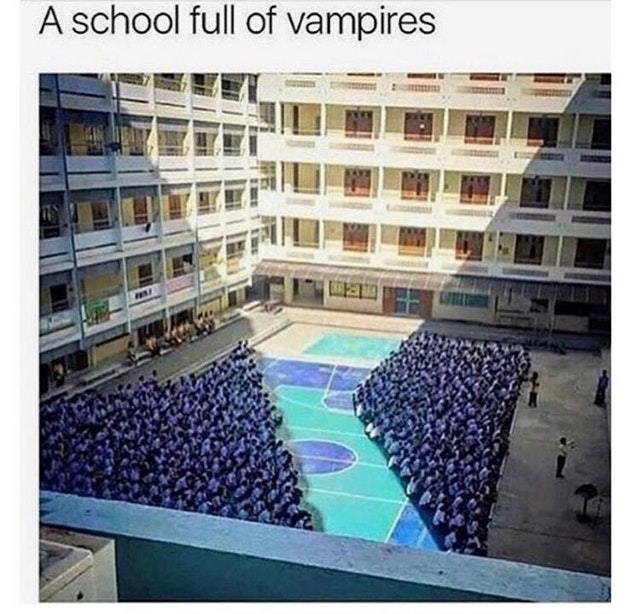Vampire school - meme