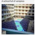 Vampire school