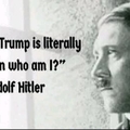 dongs in a hitler