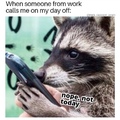 raccoon job