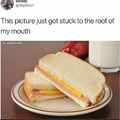 Who the fuck cuts sandwiches like that