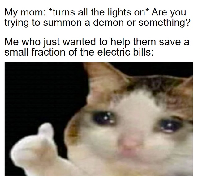 You know electricity is expensive these days - meme