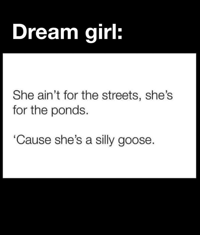 Silly Goose Meme Subido Por Grandpal Memedroid silly-goose-meme-subido-por-grandpal-memedroid