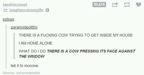 Mooove - meme