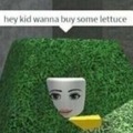 The lettuce man