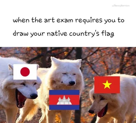 Art exam with flags - meme