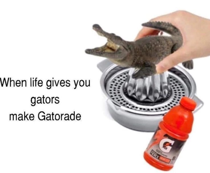Good advice - meme