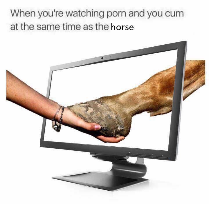 Quando você tá vendo porno e goza ao mesmo tempo que o cavalo do vídeo - meme