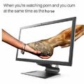 Quando você tá vendo porno e goza ao mesmo tempo que o cavalo do vídeo