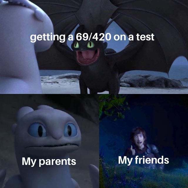 Getting 69/240 on a test - meme