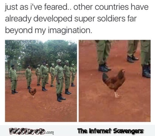 oh shit dont fuck with dat chicken - meme