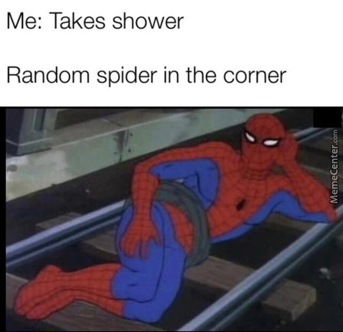 Random spider in corner - meme