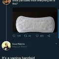 Vagina bandaid