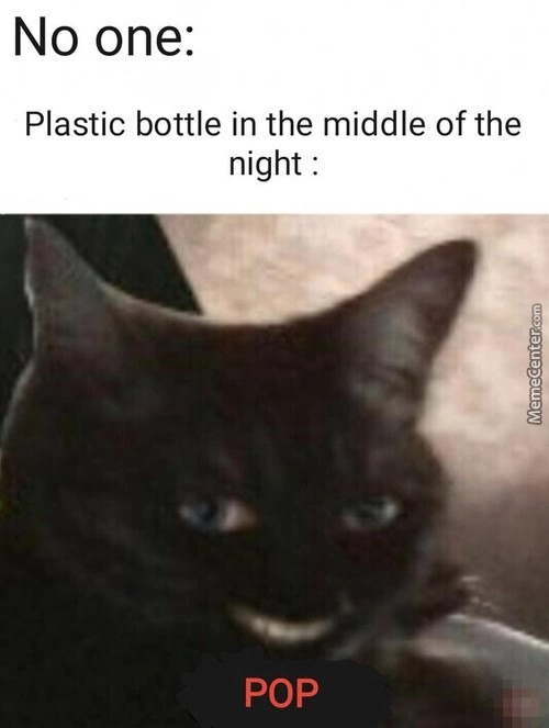 Damn you bottles - meme