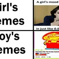 Girls vs Boys Memes