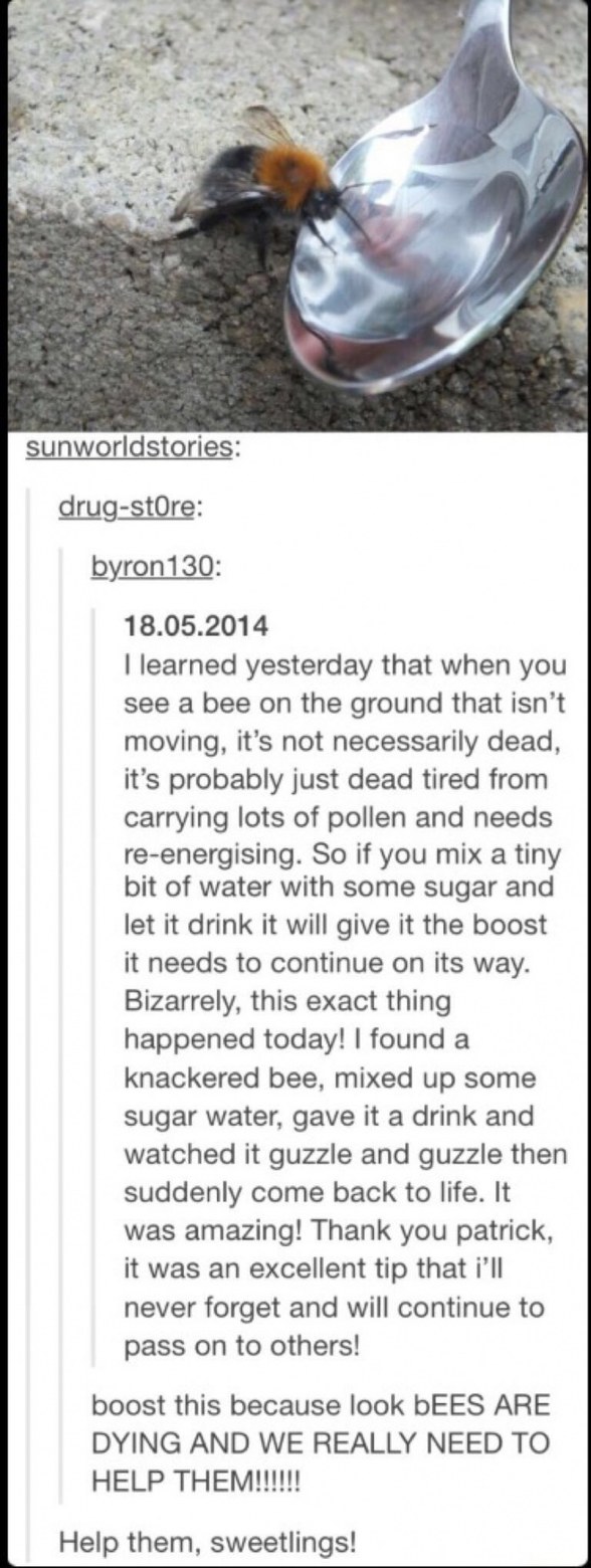 Help the bees - meme