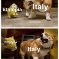 Ethiopia bullies Italy
