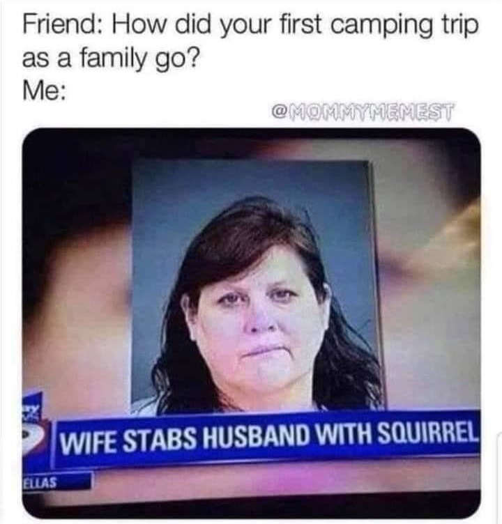 squirrel - meme