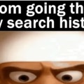 SEARCH HISTORY!!!