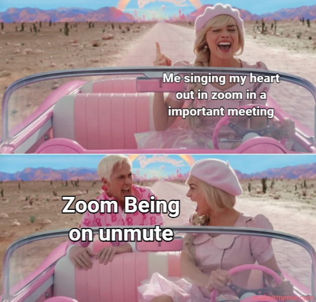 Zoom Meeting - meme