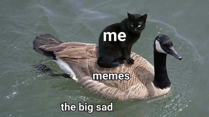Sadness - meme