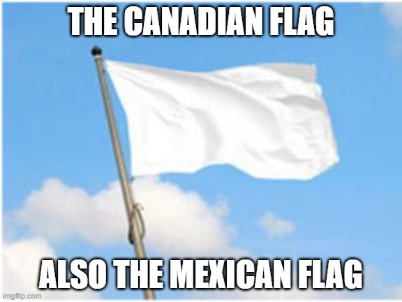 When your neighbors decide to surrender: - meme