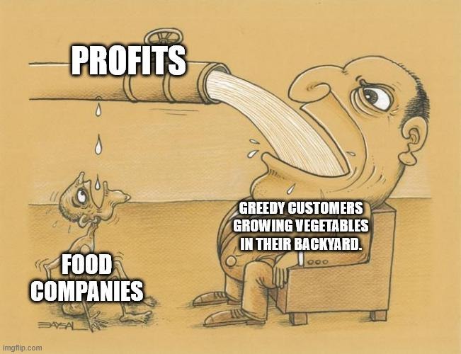 Growing veggies cause I refuse to pay $9 for a sad tomato - meme