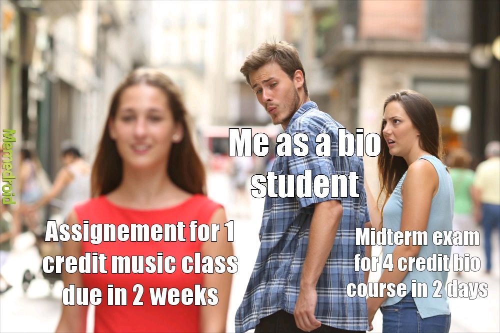 Uni studying - meme