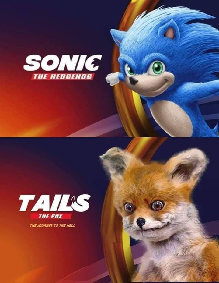 The Best Tails Memes Memedroid