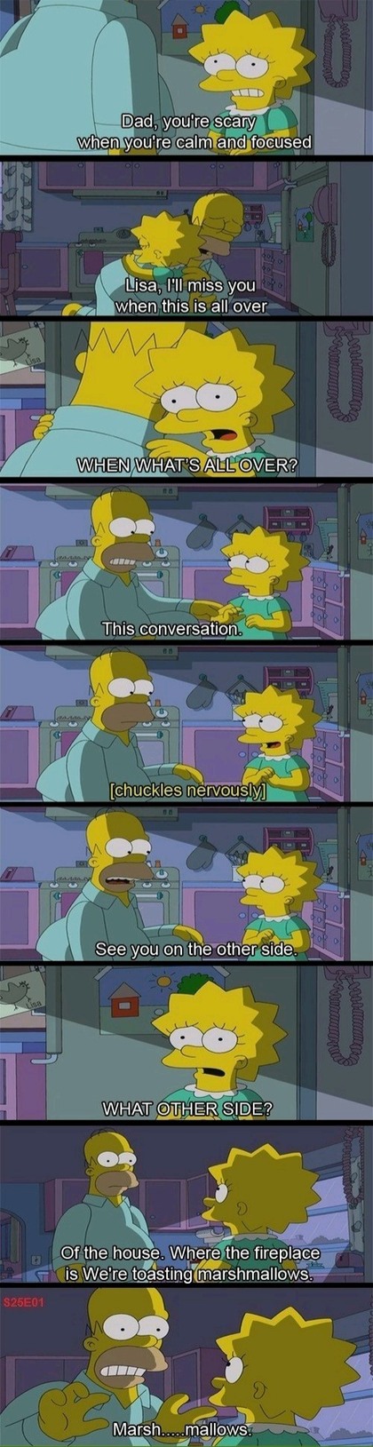 Homer at his finest - meme