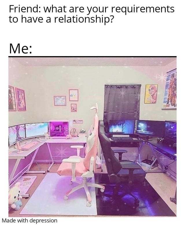 What are your requirements to have a relationship? - meme
